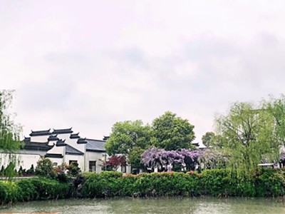 涵境园艺震撼来袭！江南山水园林意境引爆品牌传播，成就极致自然美学！