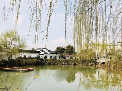 涵境园艺震撼来袭！江南山水园林意境引爆品牌传播，成就极致自然美学！