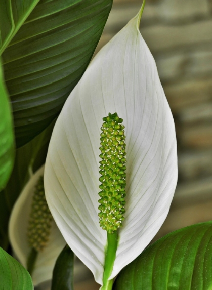 resized-6.jpg resized-6.jpg