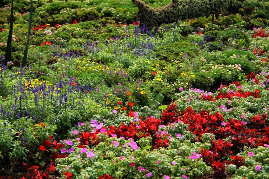 resized-18.jpg resized-18.jpg