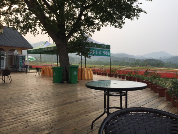 “欧式风格花海景区:罗浮山自然环境与浪漫花卉景观的完美融合” “欧式风格花海景区:罗浮山自然环境与浪漫花卉景观的完美融合”