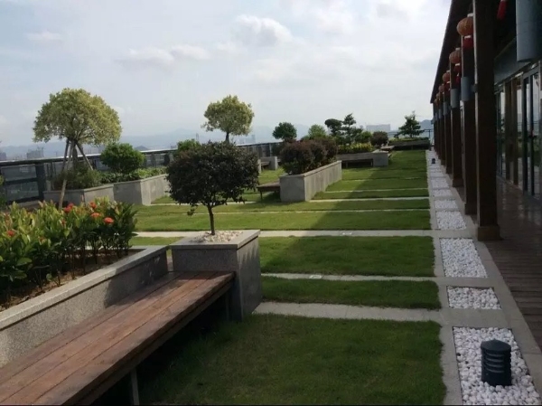 精心设计的屋顶花园——享受阳光与美景的完美融合 resized-微信图片_20251128120228_666_39.jpg