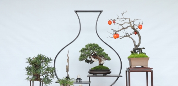 如皋花木园艺师:从盆景艺术到乡村振兴的劳务品牌 如皋花木园艺师:从盆景艺术到乡村振兴的劳务品牌