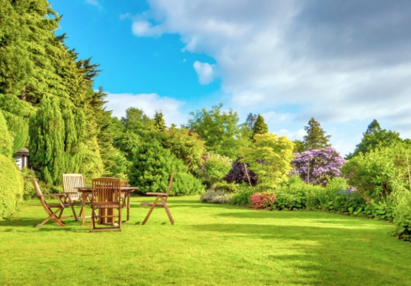 涵境园艺:古典园林文化复刻与创新,带您走进江南园林的诗意世界! resized-微信图片_20251128143216_699_39.jpg