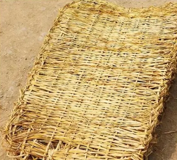 resized-微信图片_20251128152045_765_39.jpg resized-微信图片_20251128152045_765_39.jpg